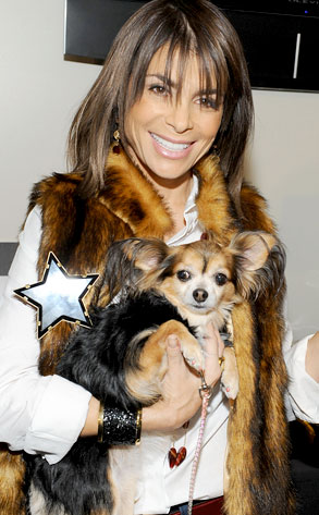 Paula Abdul Paula Abdul
